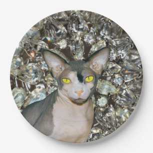 Assiettes En Carton Chat Sphynx vintage à bille par Rex Cats