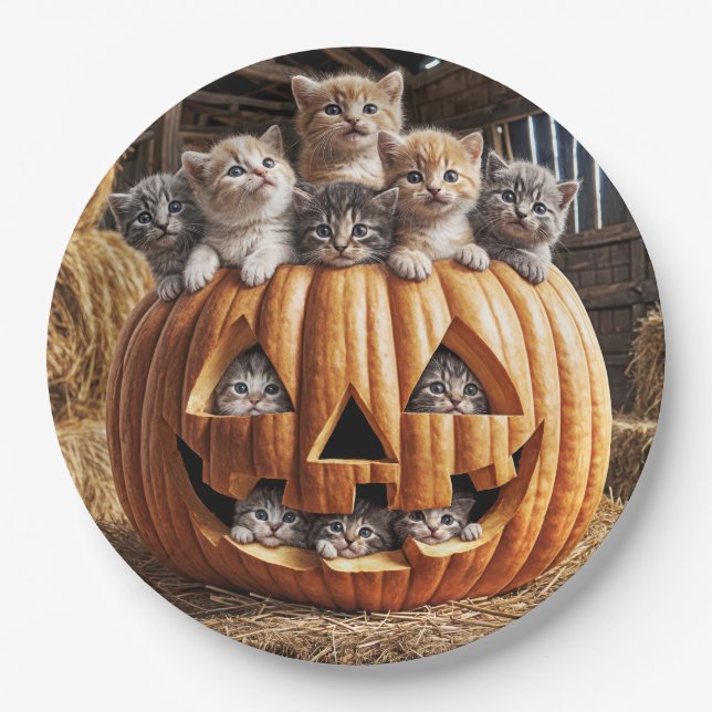 Assiettes En Carton Chatons En Citrouille Halloween (Devant)