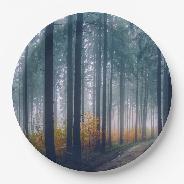 Assiettes En Carton Chemin forestier Majestic (Devant)