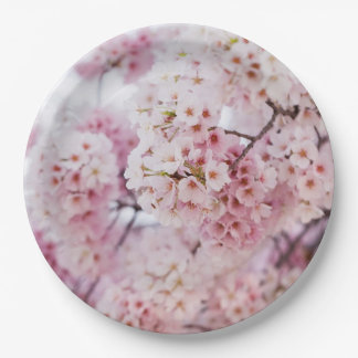 Assiettes En Carton Cherry Blossoms