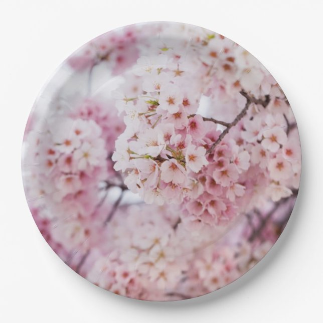 Assiettes En Carton Cherry Blossoms (Devant)