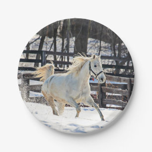 Assiettes En Carton Cheval blanc galopant