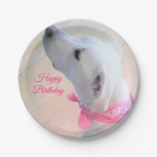 Assiettes En Carton Chien blanc mignon portant une écusson rose