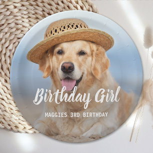 Assiettes En Carton Chien Chien Chien Chien Anniversaire Fête Personn
