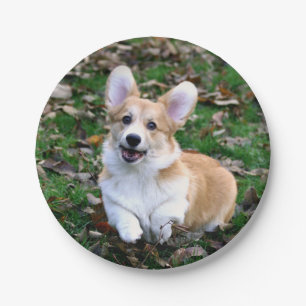 Assiettes En Carton Chien de Corgi mignon qui bondit