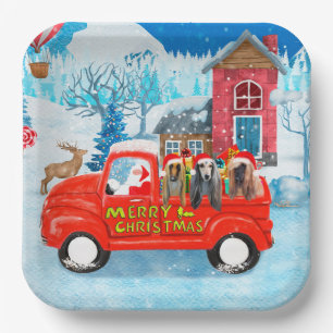Assiettes En Carton Chien de Hounds afghan dans la livraison de Noël C