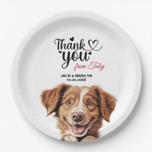 Assiettes En Carton Chien de la Nouvelle-Écosse pour l'extraction du c