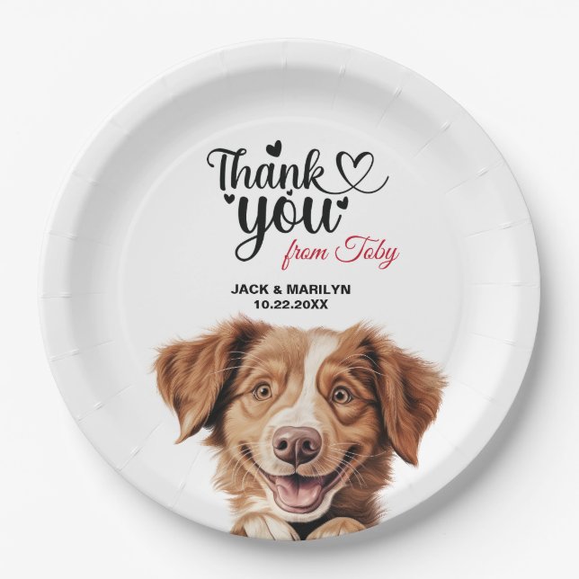 Assiettes En Carton Chien de la Nouvelle-Écosse pour l'extraction du c (Devant)