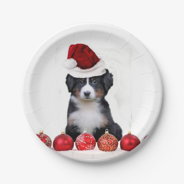 Assiettes En Carton Chien de montagne de Bernese de Noël (Devant)