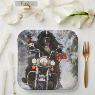 Assiettes En Carton Chien de Terre-Neuve en moto Noël 