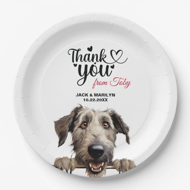 Assiettes En Carton Chien d'Irlande Wolfhound (Devant)