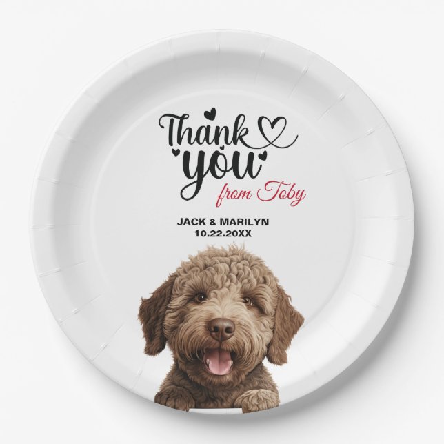 Assiettes En Carton Chien Lagotto Romagnoto (Devant)