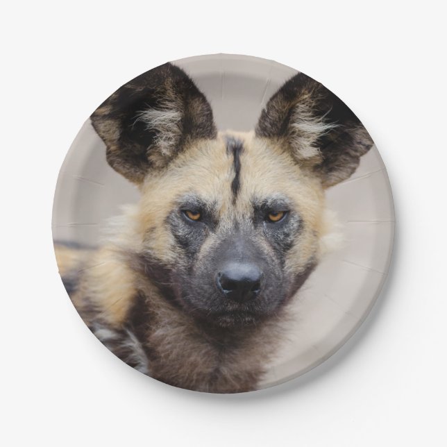 Assiettes En Carton Chien sauvage africain (Chien peint) (Devant)