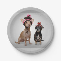 Chiens de chiwawa avec la photo de casquettes
