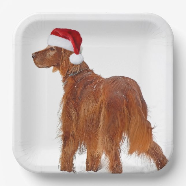 Assiettes En Carton Christmas Irish Setter (Recto)