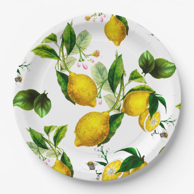 Assiettes En Carton Citrons, agrumes, art méditerranéen    (Devant)