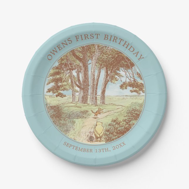 Assiettes En Carton Classic Winnie the Pooh 40 acres Bois Anniversaire (Devant)