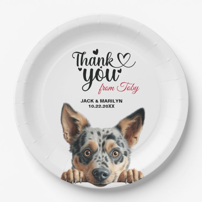 Assiettes En Carton Cocktail Mariage de chien de bétail australien (Devant)