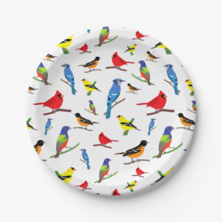 Assiettes En Carton Coloré Oiseaux nord-américains Motif Samsung Gala