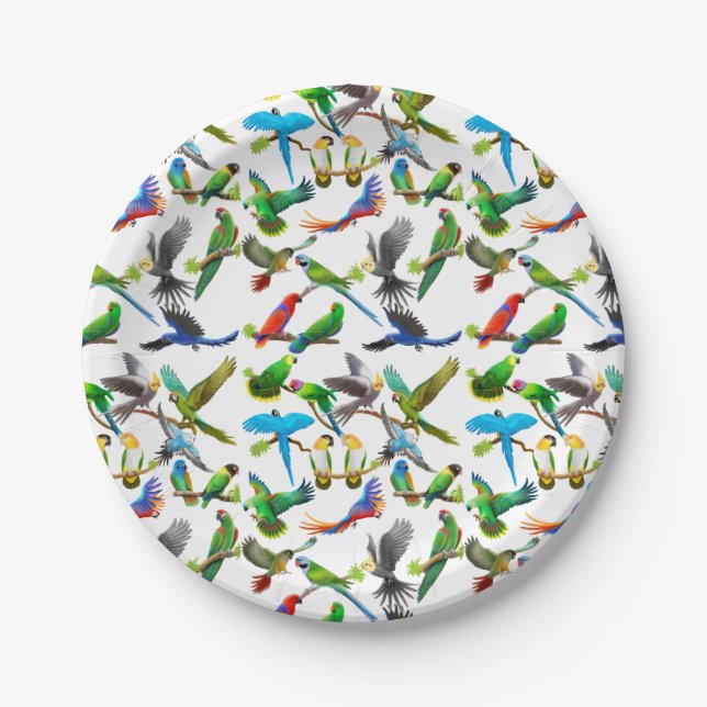 Assiettes En Carton Colorful (Devant)