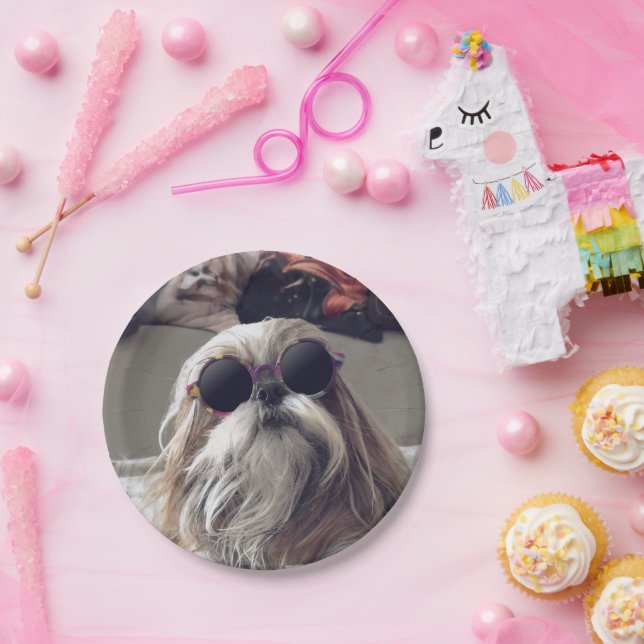 Assiettes En Carton Cool Shih Tzu cheveux longs Lunettes de soleil vin (Fête)