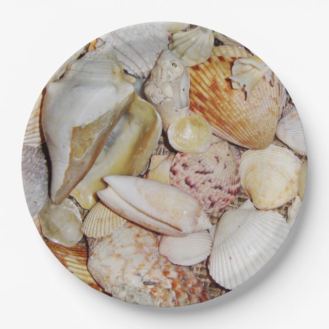 Assiettes En Carton Coquillages (Devant)