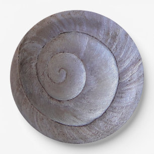 Assiettes En Carton Coquille blanche