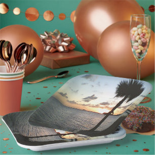 Assiettes En Carton Coucher De Soleil Sur La Plage