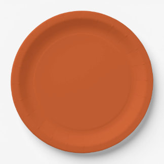 Assiettes En Carton Couleur solide couleur uni rouille brûlé orange