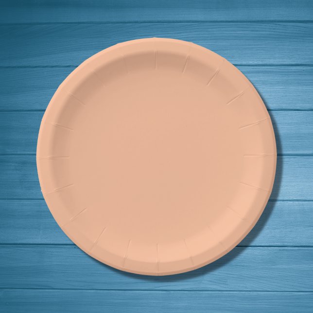 Assiettes En Carton Couleur solide Fuzz Peach (Créateur téléchargé)