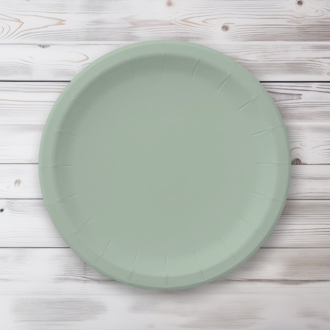 Assiettes En Carton Couleur solide Sage Mist vert clair (Créateur téléchargé)