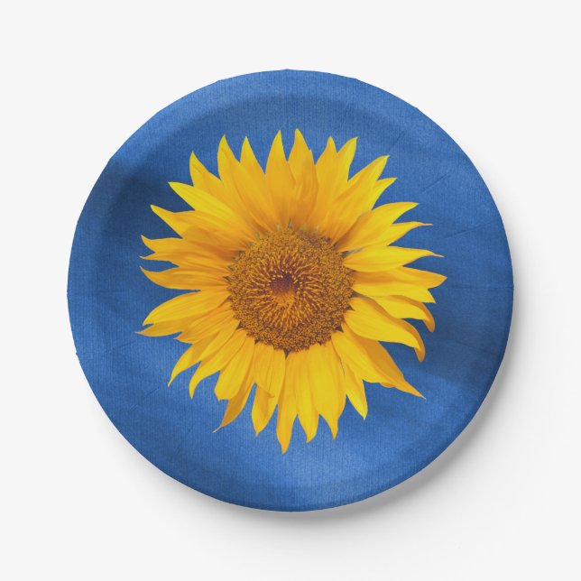 Assiettes En Carton Country Sunflower Royal Blue Mariage été (Devant)