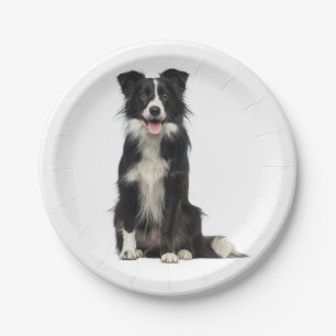 Assiettes En Carton Coup de colle blanc blanc de chiot Coup de colle