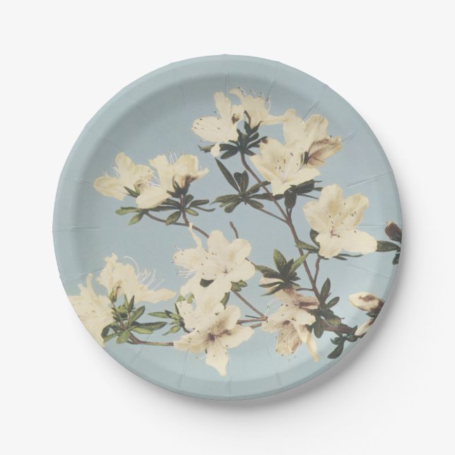 Assiettes En Carton Crème vintage blanche Fleurs d'Azalea (Devant)