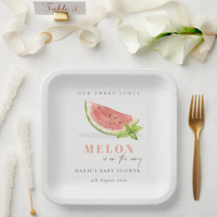 Assiettes En Carton Cuisine Notre Petit Melon Aquarelle Baby shower ro