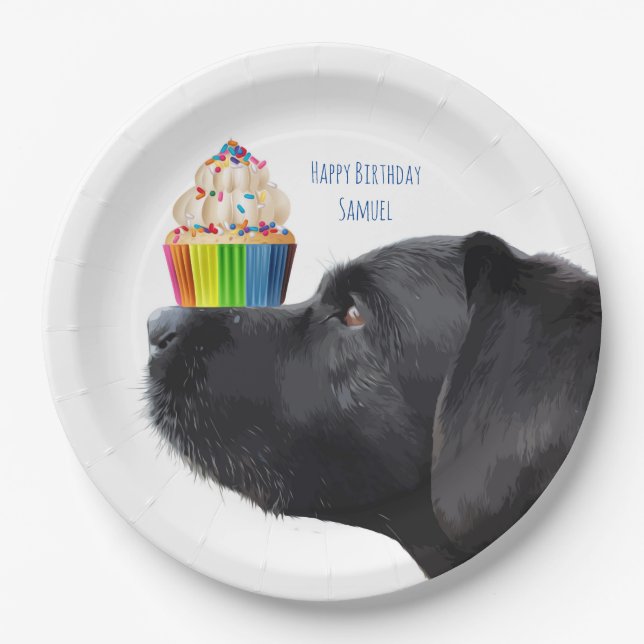 Assiettes En Carton Cupcake - Black Lab (Devant)