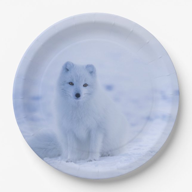 Assiettes En Carton Cute Arctic Fox sur Snowy Winter Arrière - plan (Devant)