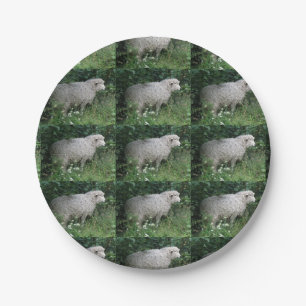Assiettes En Carton Cute Gourmande Manger Papier Plate