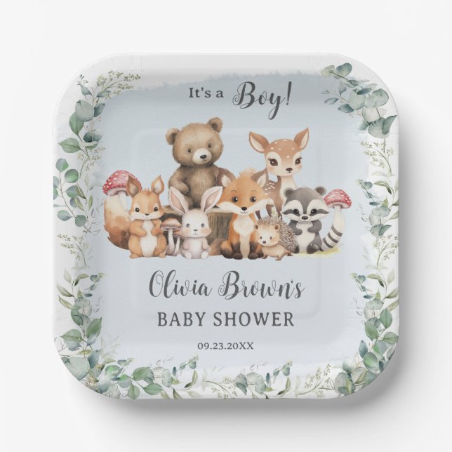 Assiettes En Carton Cute Woodland Animaux Végétation Boy Baby shower (Recto)