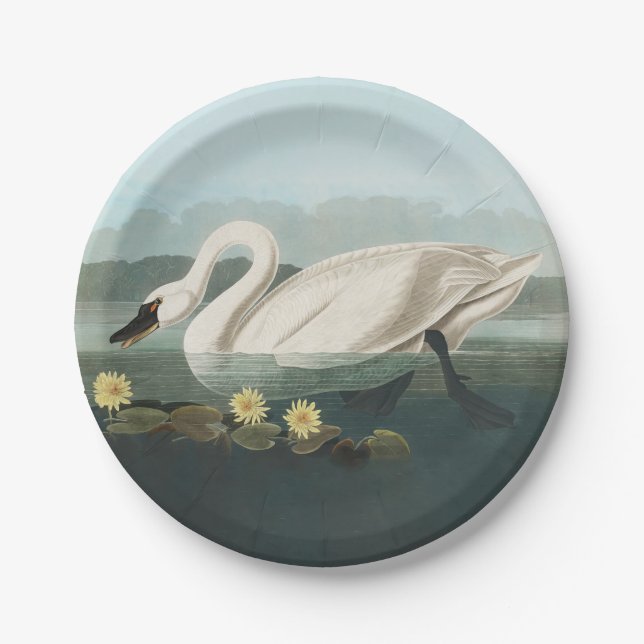 Assiettes En Carton cygne audubon cygnes d'eau blanche (Devant)