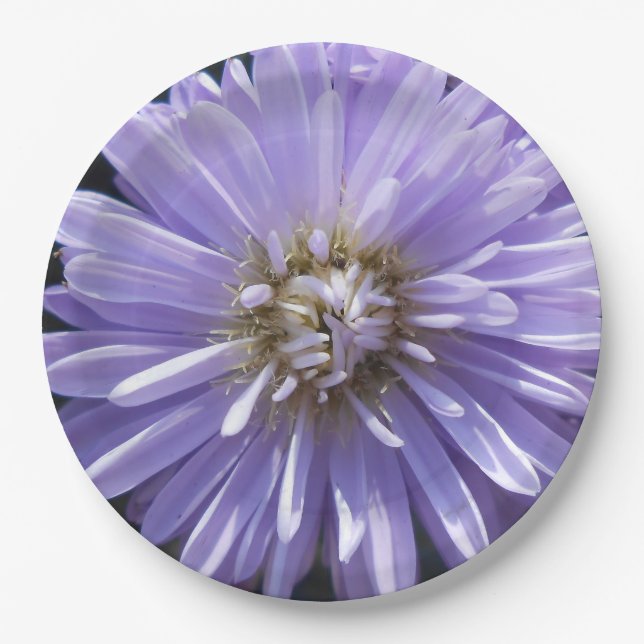 Assiettes En Carton Cyrène (Devant)