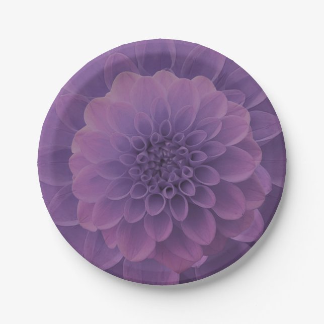 Assiettes En Carton Dahlia violet (Devant)
