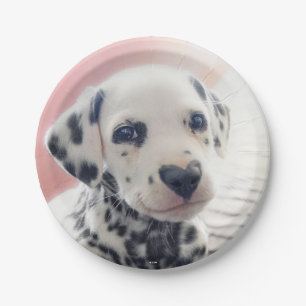 Assiettes En Carton Dalmatien Nez de Coeur