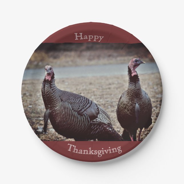 Assiettes En Carton Déchets Sauvages Plaque Papier Thanksgiving (Devant)