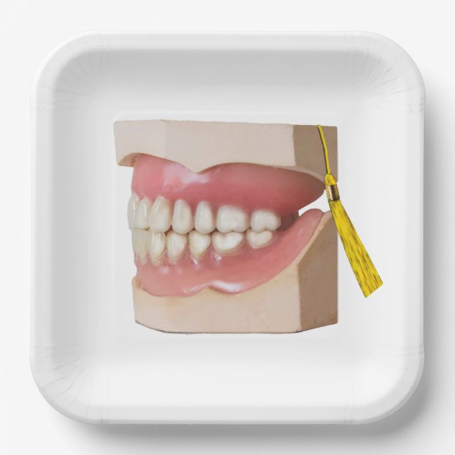 Assiettes En Carton Dentist Dental School Graduation Party (Recto)