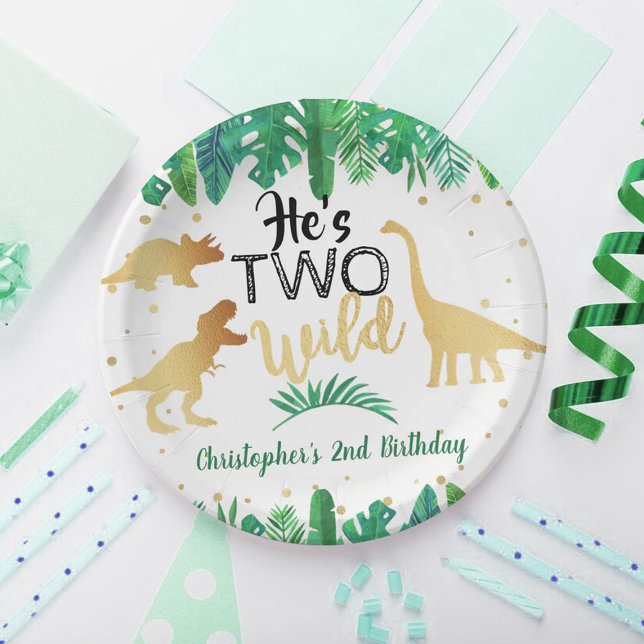 Assiettes En Carton Deux Dinosaures Sauvages garçons 2e fête d'anniver (Créateur téléchargé)