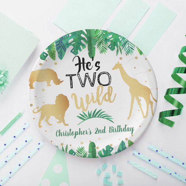 Assiettes En Carton Deux garçons sauvages Deuxième fête d'anniversaire (Créateur téléchargé)
