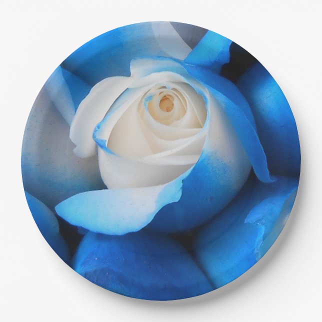 Assiettes En Carton Diemudis (Devant)