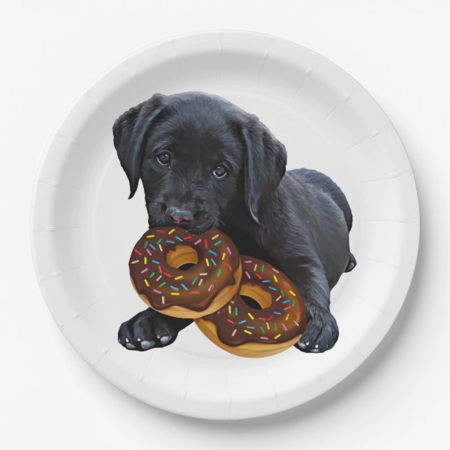 Assiettes En Carton Donuts - Black Lab - Black Lab (Devant)