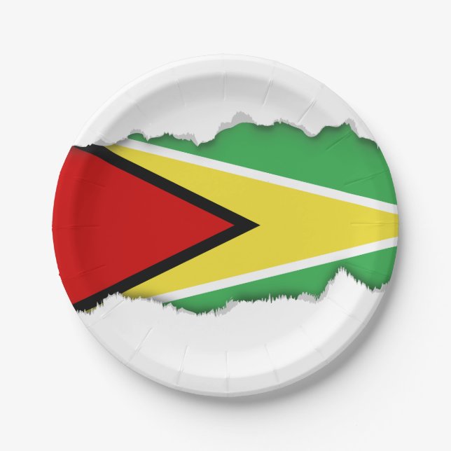 Assiettes En Carton Drapeau de la Guyane (Devant)